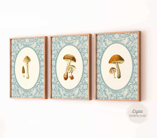 Mushroom Prints in Blue - Set of 3
