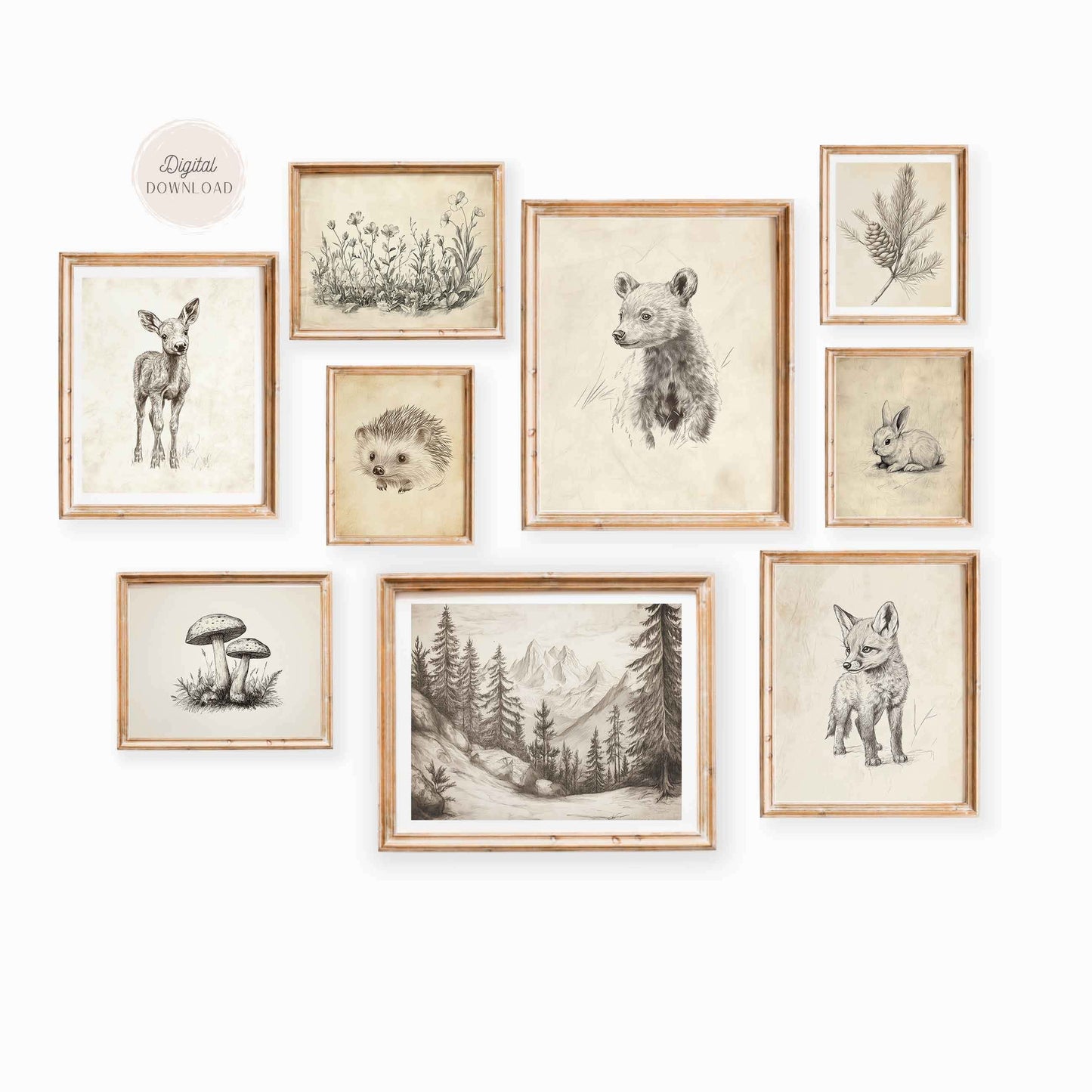 Vintage Woodland Animals Sketch wall art - Set of 9