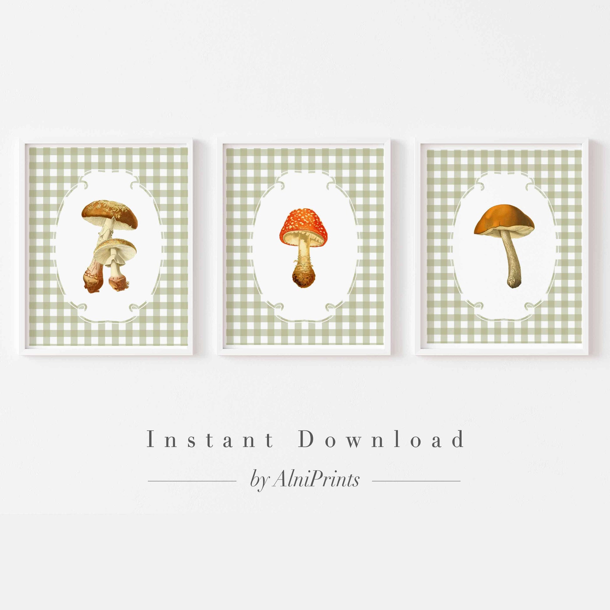 Vintage Mushrooms Print - Set of 3 Gingham prints