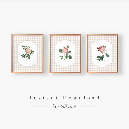 Vintage Roses Print - Set of 3