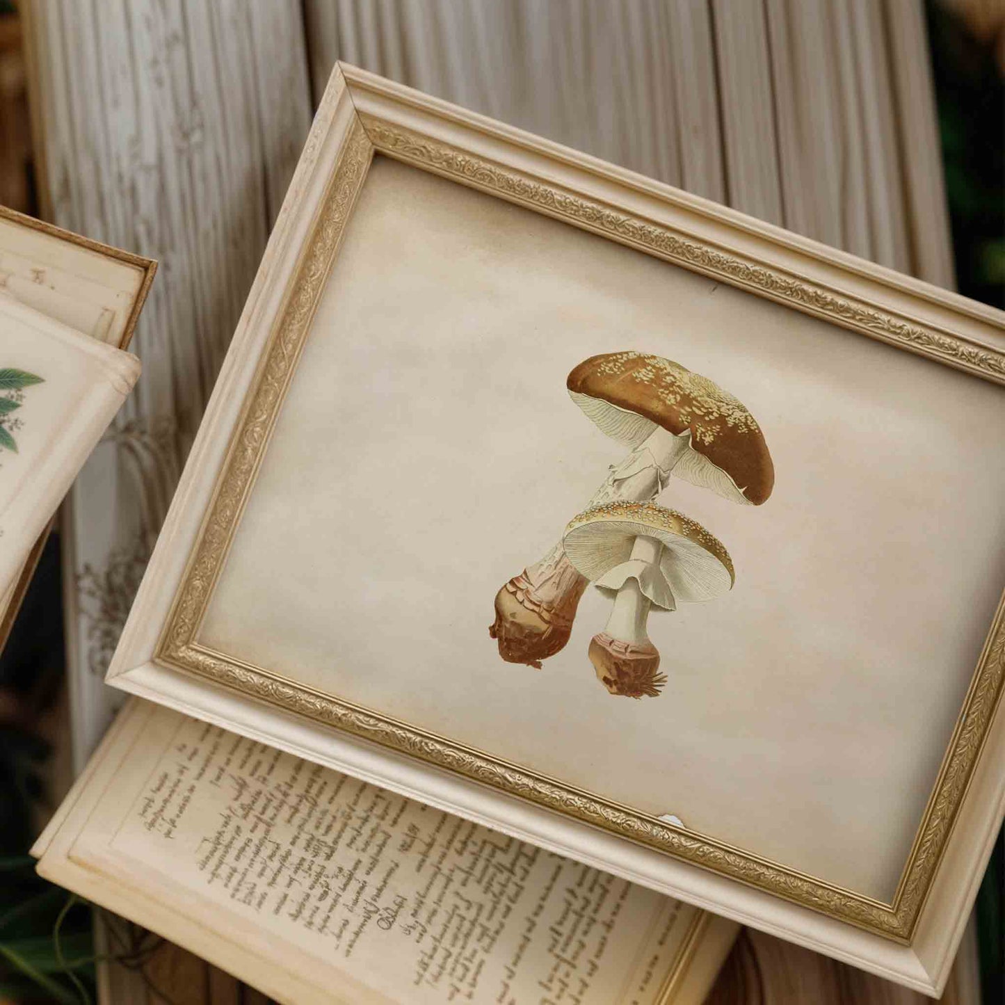 Vintage Woodland Nature Wall Art  - Set of 9 - 001