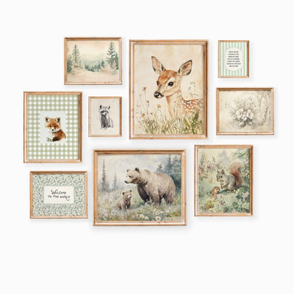 Nine-piece woodland nursery wall art set featuring baby deer, bear and cub, fox, squirrel family, raccoon sketch, forest landscapes, botanical art, and gentle nursery quotes.
