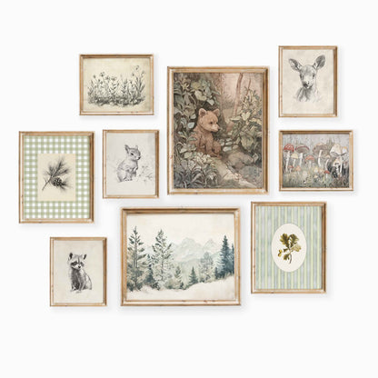 Nine-piece woodland nursery wall art set featuring baby bear, deer, raccoon, squirrel sketches, mushrooms, botanical illustrations, and soft forest landscapes.
