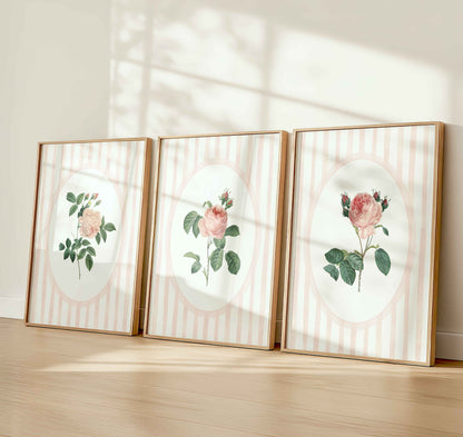 Set of 3 pink vintage rose prints with striped blush backgrounds, displayed in a sunlit nursery with soft shadows on the wall.