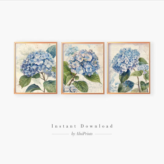 Blue Hydrangeas Gallery wall art