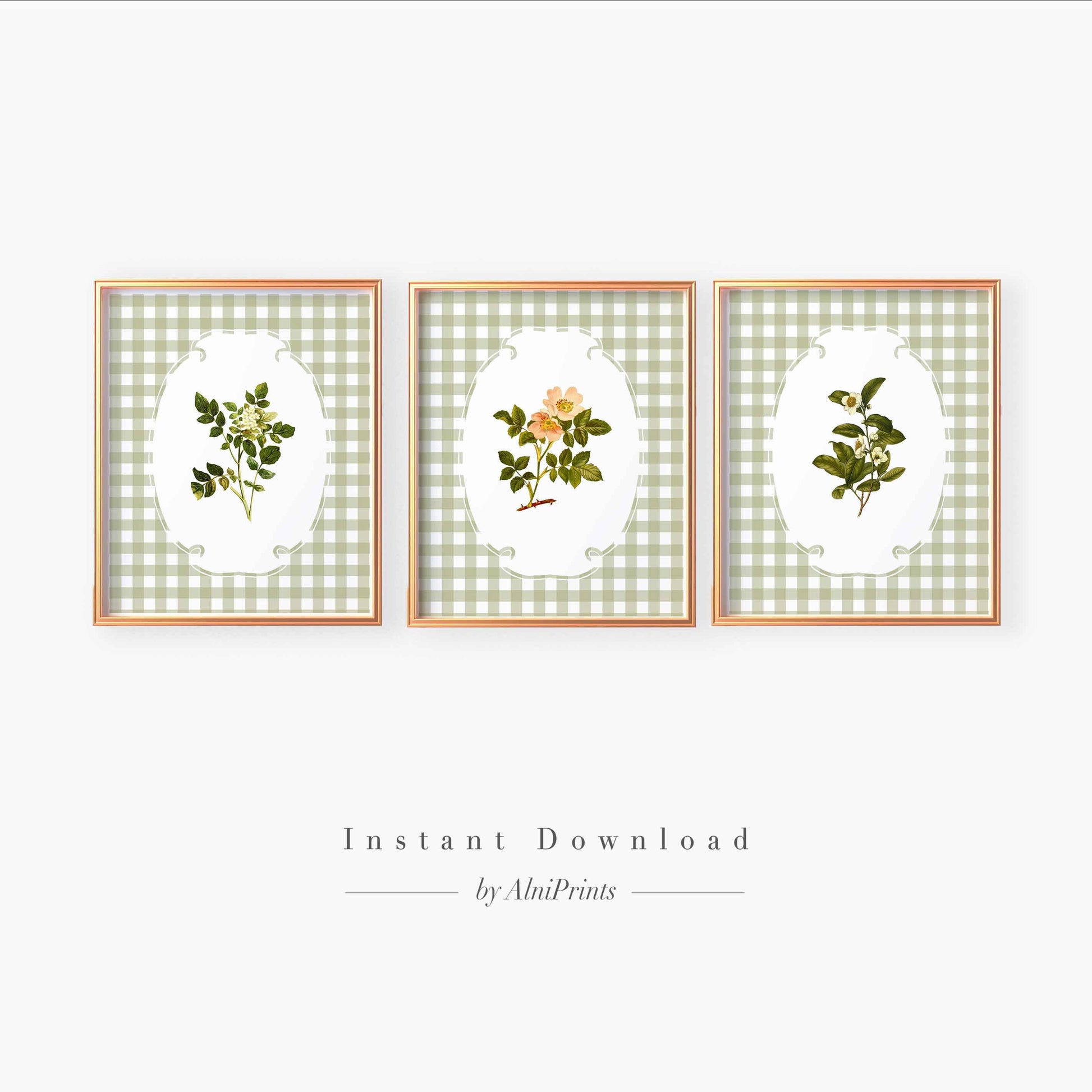 Vintage Botanical Wall Art - Set of 3