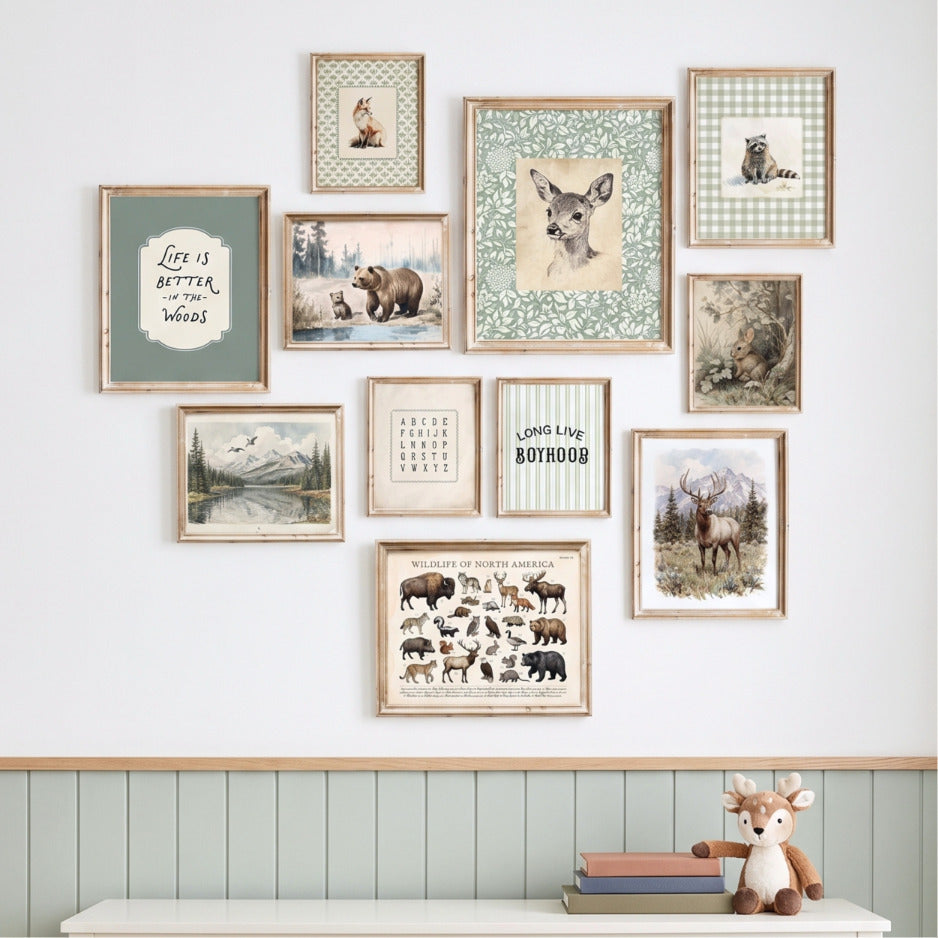 11 piece vintage woodland nursery gallery wall set featuring sage green forest animals, typography, and wildlife posters