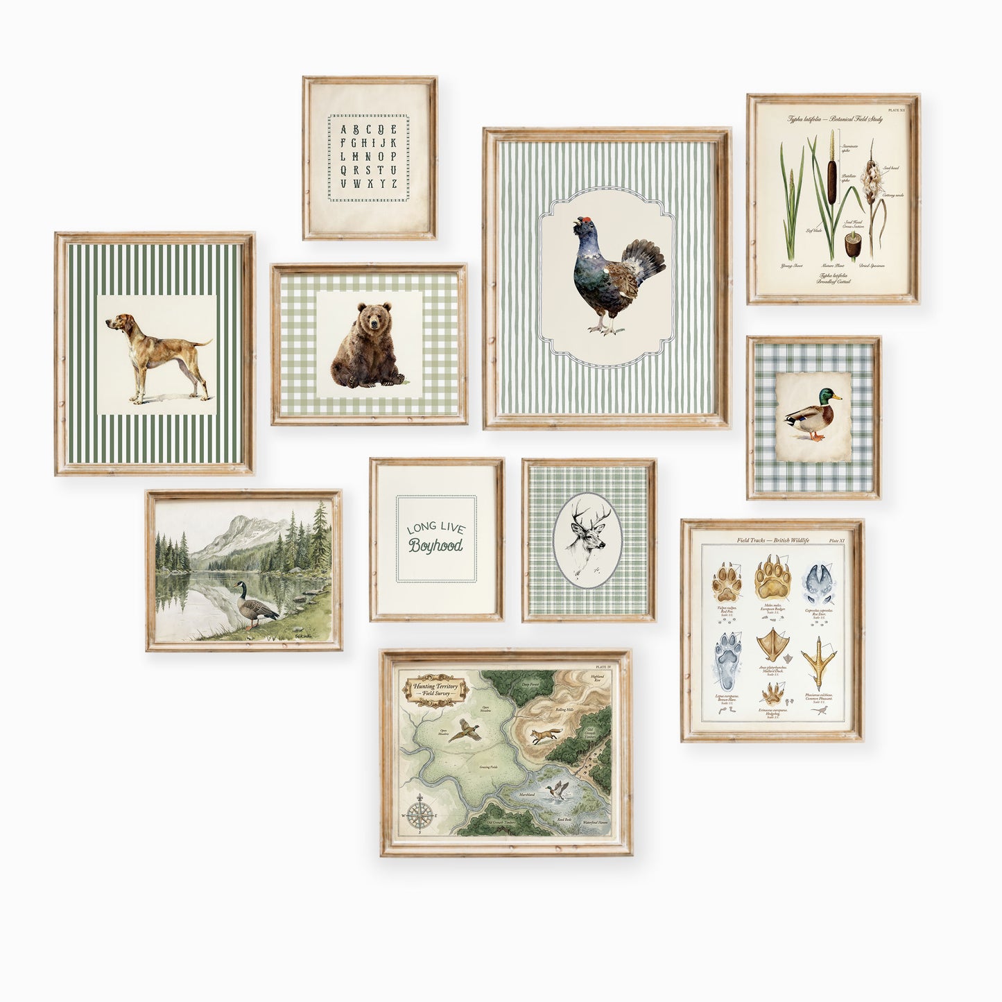 11 piece antique botanical and forest nature nursery wall art set collage with field map and wildlife