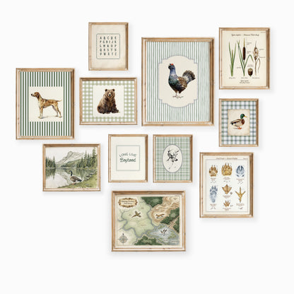 11 piece antique botanical and forest nature nursery wall art set collage with field map and wildlife