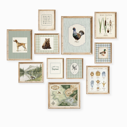 11 piece antique botanical and forest nature nursery wall art set collage with field map and wildlife