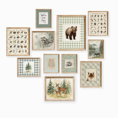 Forest alphabet and animal tracks nursery gallery wall set of 11 in a boys room