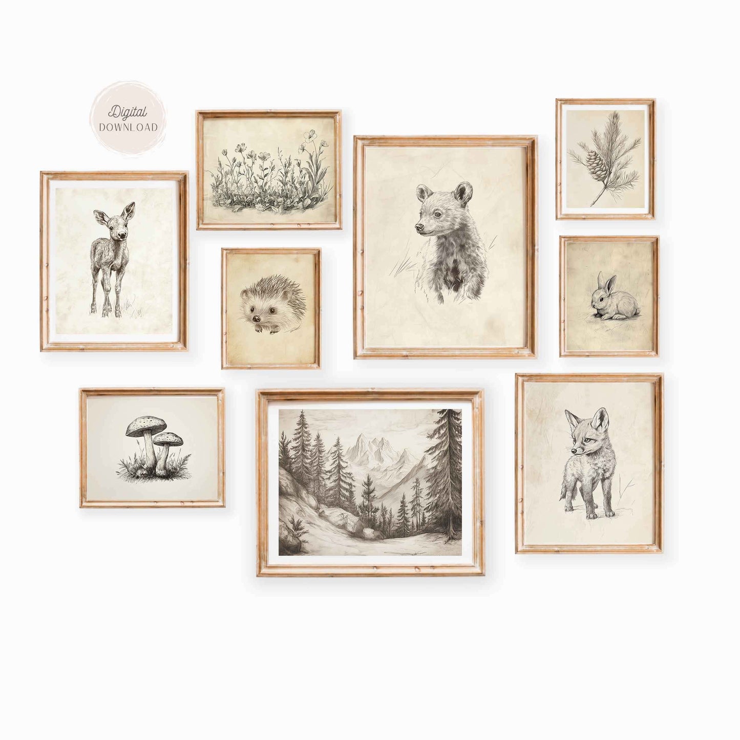 Vintage Woodland Animals Sketch wall art  - Set of 9