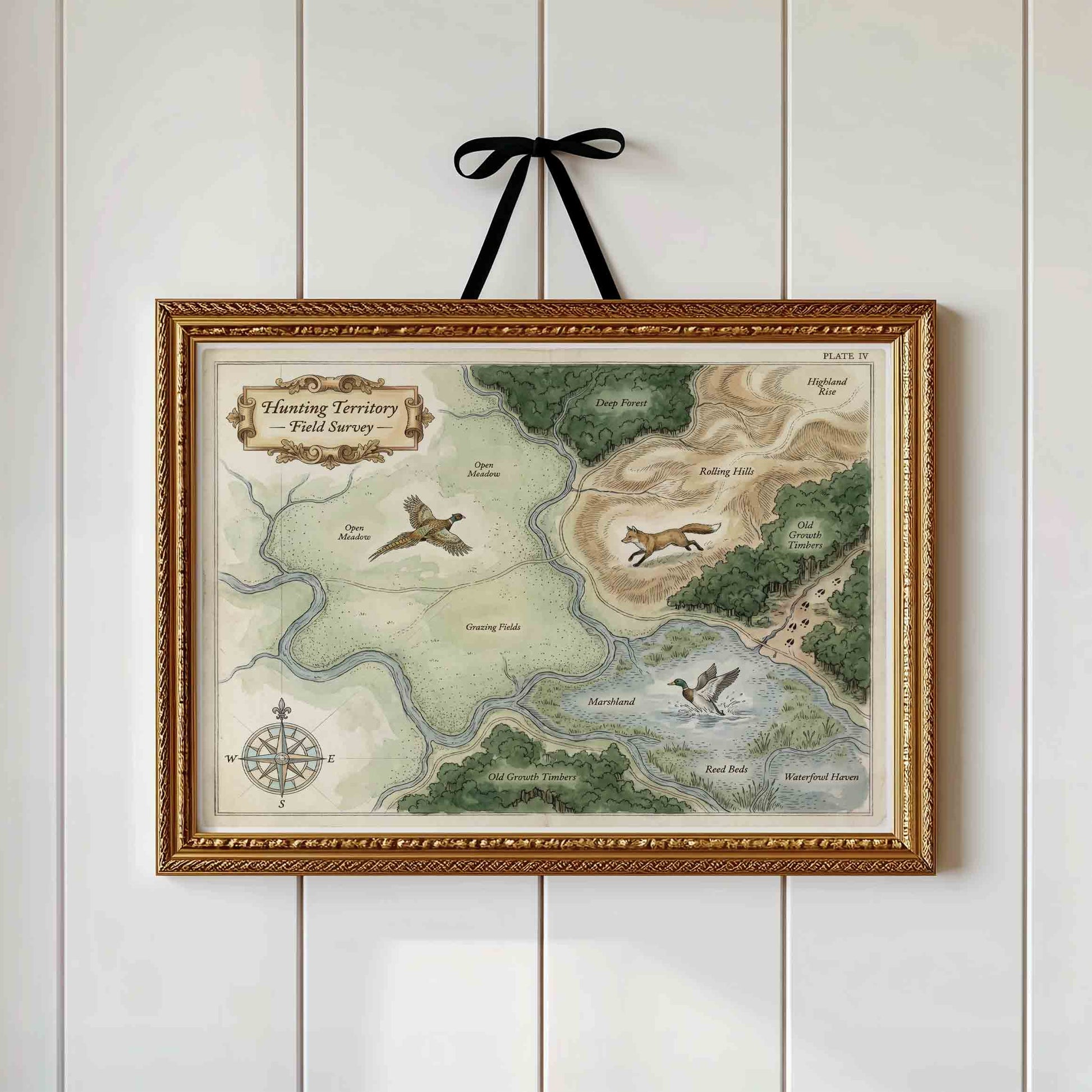 Vintage field map print framed and styled for an antique nature nursery room